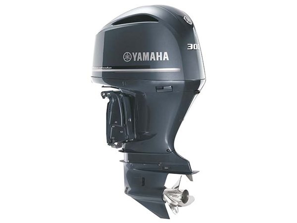 60000000008-1.jpg